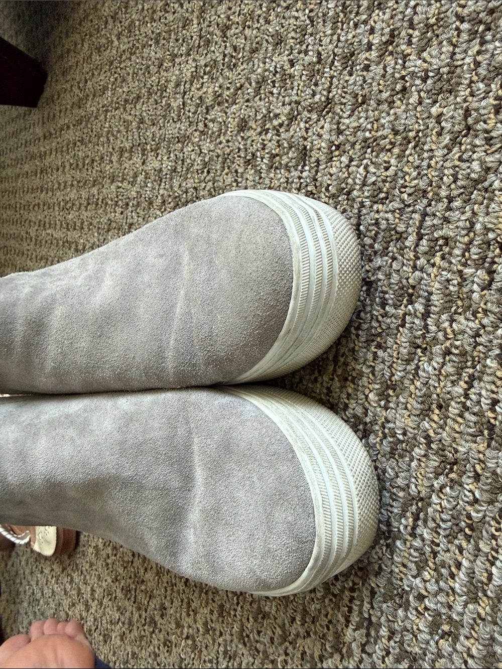 Dolce Vita Slip-On Suede Platform Sneaker Boot in Light Gray - Picture 3 of 6